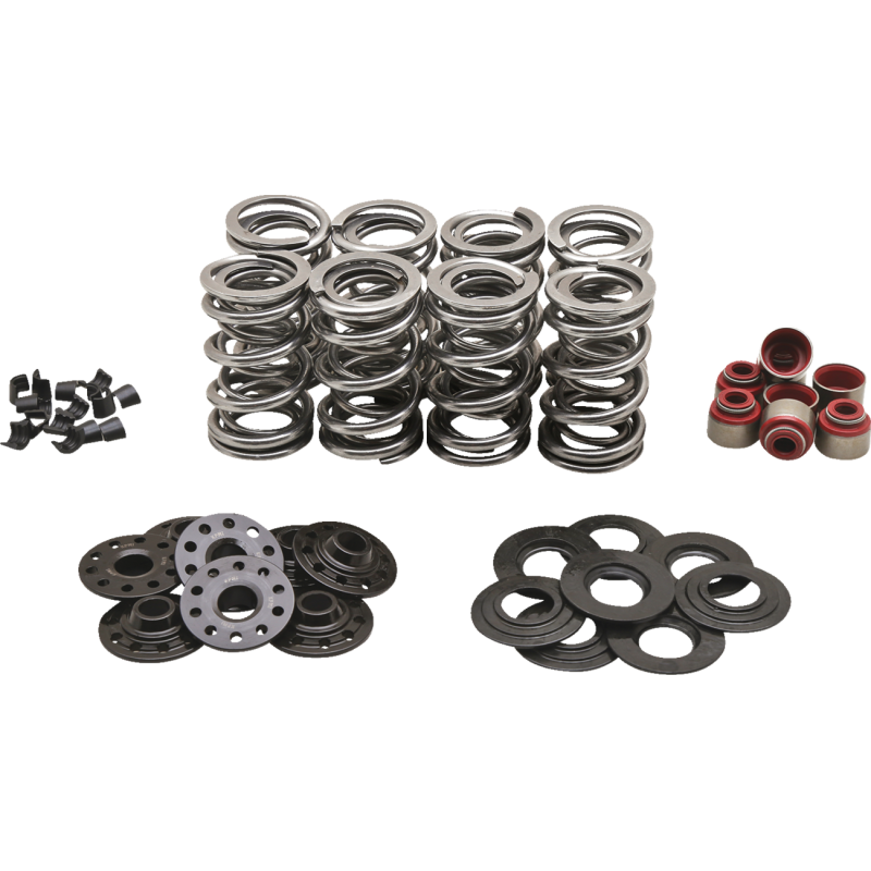 KIBBLEWHITE SPRING KT DUAL M8 .630 S KT 20-23850