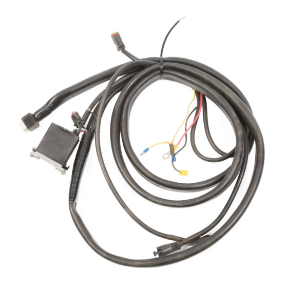 BERCOMAC WIRE ASSEMBLY BERCOMAC 106558