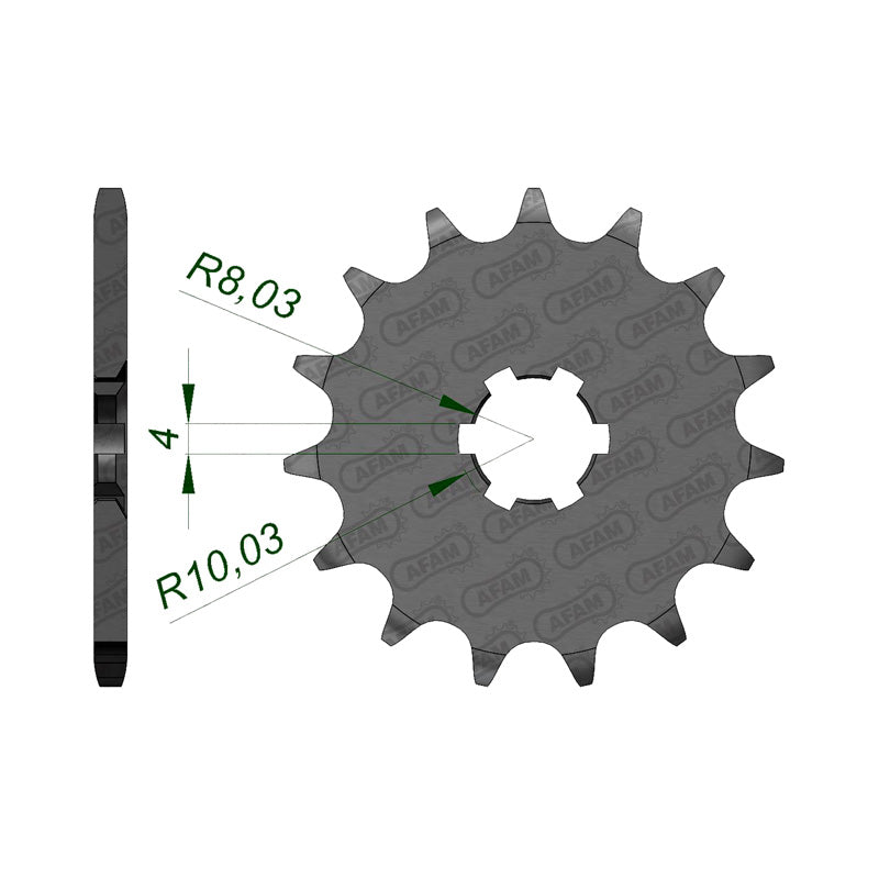 AFAM AFAM 13T 420 TTR50 2006 (30100). 30100-13