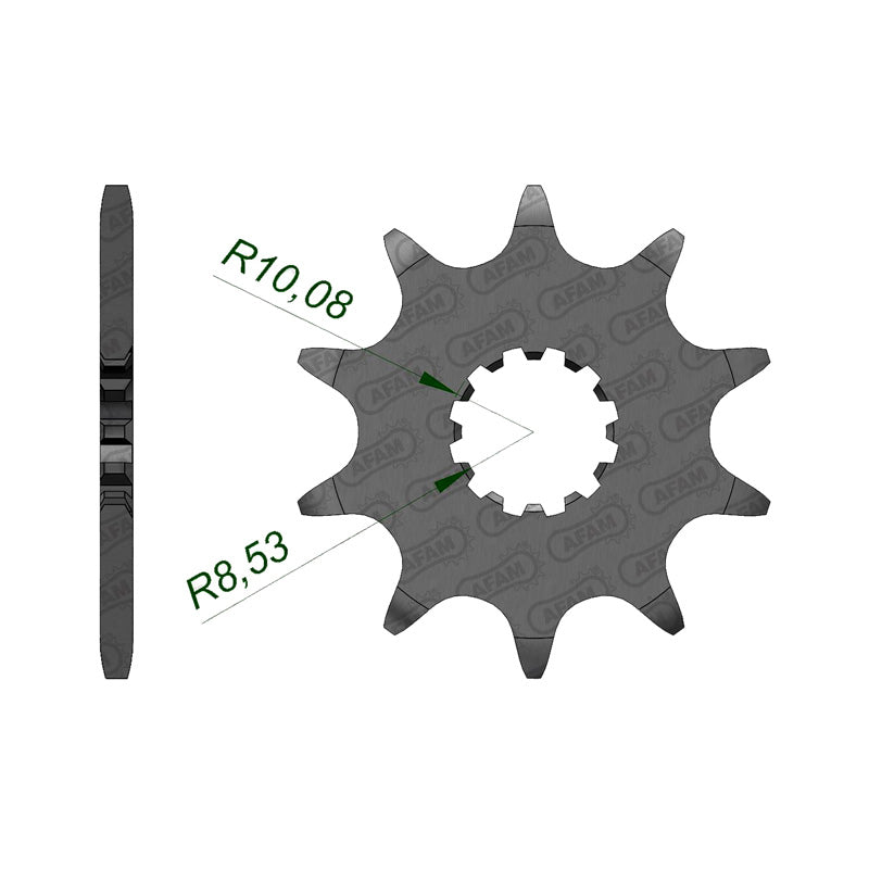 AFAM SPR.FR.BETA EVO 200/250/300 10T 520 (40300-10) 40300-10
