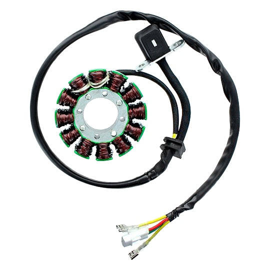 ELECTROSPORT STATOR KTM ELECTROSPORT ESG169