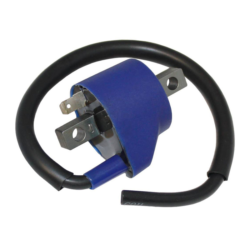 ITL IGNITION COIL 18140136