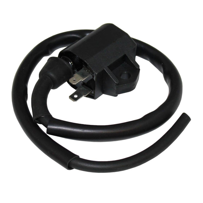 ITL IGNITION COIL 18140148