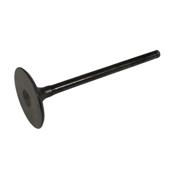 SHINDY INTAKE VALVE POL SHINDY 14-406A