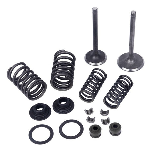 MOGO ENGINE VALVE KIT H-70-110CC 61-0201