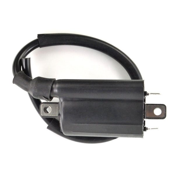 KIMPEX HD IGNITION COIL EXT HON KIMPEXHD RM06163