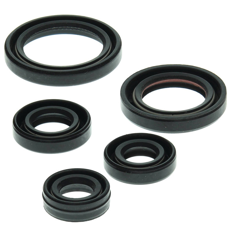 VERTEX OIL SEAL KIT 822263