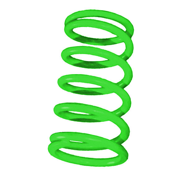 STRAIGHTLINE PERFORMANCE TRA PRIMRY SPRING 160-320 LBS GREEN 121-160