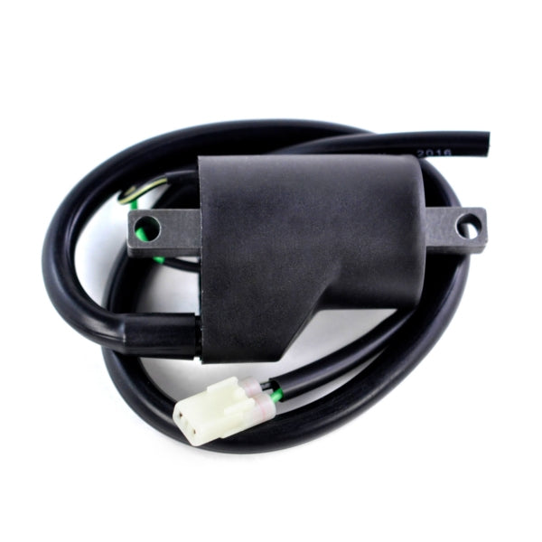 KIMPEX HD IGNITION COIL EXT KIMPEXHD SF-060-001954