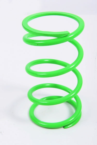 EPI CLUTCH SPRING EPI PATV7