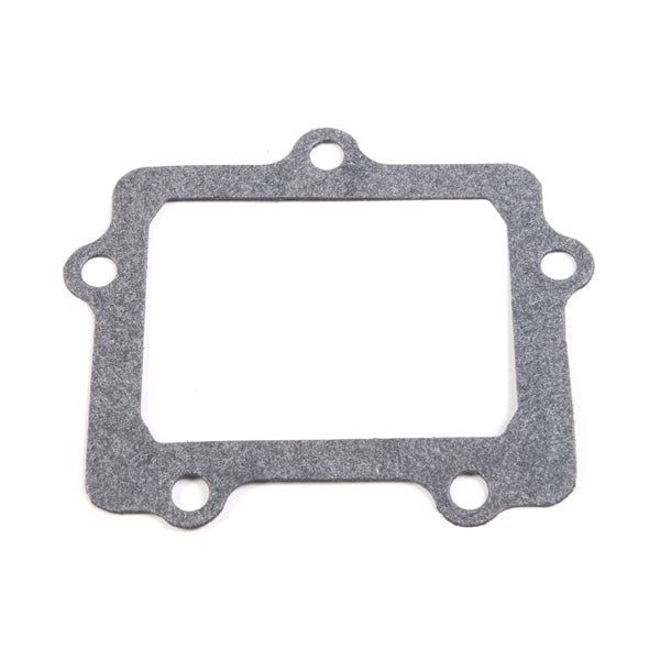 VFORCE PETAL GASKET KIT VFORCE3 YAM G307