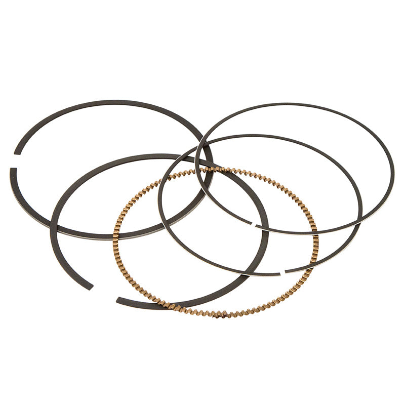 VERTEX REPLACEMENT RING(S) (9495MM) 590395000001