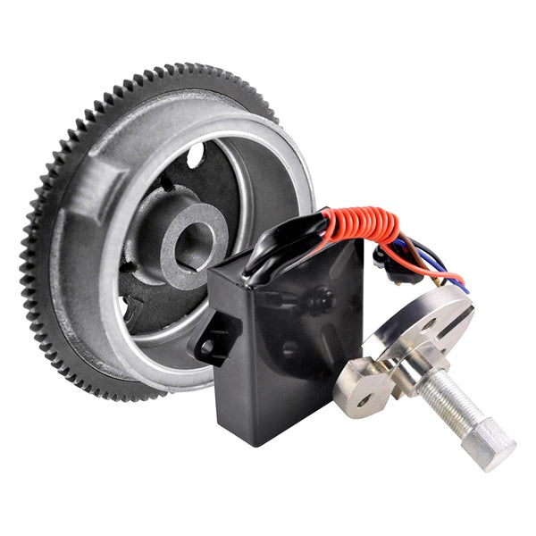 KIMPEX HD FLYWHEEL/PULLER/CONVERSION KIT POL RMS900-102831