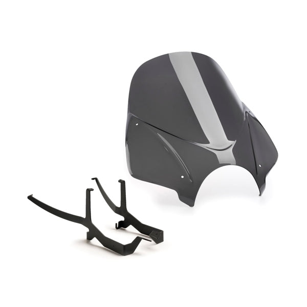 PUIG WINDSHIELD NG TOURING BMW DSMK PUIG 20527F