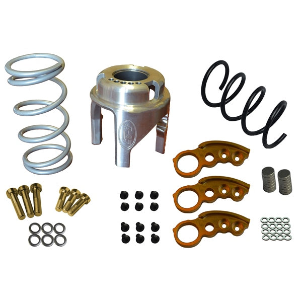 STRAIGHTLINE PERFORMANCE CLUTCH KIT W/ADJ WEIGHT P-DRIVE 121-250