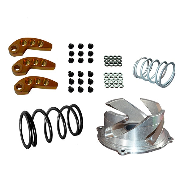 STRAIGHTLINE PERFORMANCE CLUTCH KIT W/ADJ WEIGHT POL 123-160