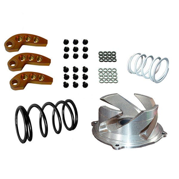 STRAIGHTLINE PERFORMANCE CLUTCH KIT W/ADJUSTABLE WEIGHT POL 123-155