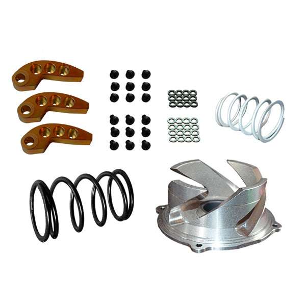 STRAIGHTLINE PERFORMANCE CLUTCH KIT W/ADJUSTABLE WEIGHT POL 123-158
