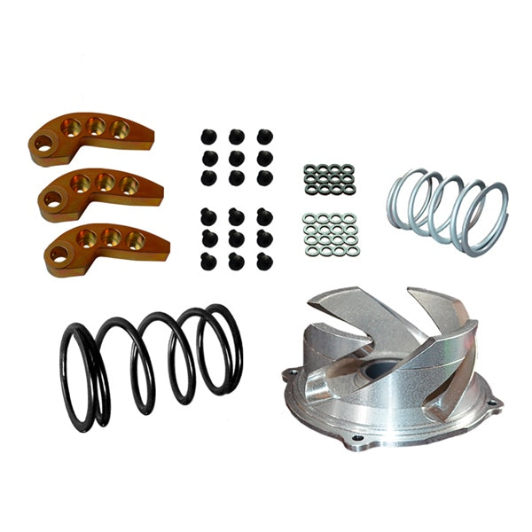 STRAIGHTLINE PERFORMANCE CLUTCH KIT W/ADJUSTABLE WEIGHT POL 123-159