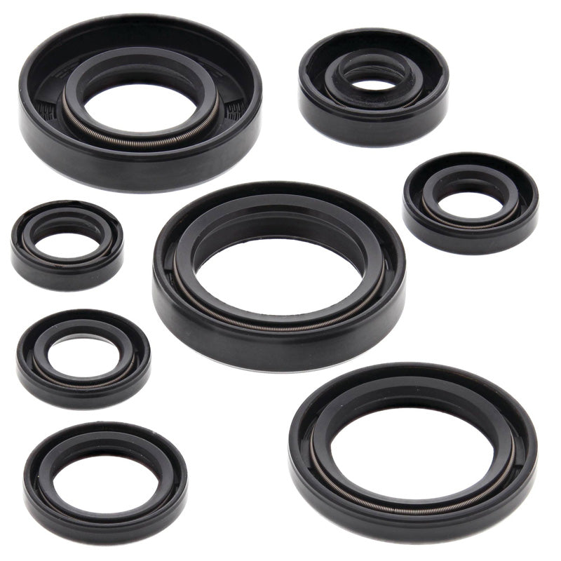 VERTEX OIL SEAL KIT 822173
