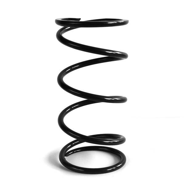 EPI CLUTCH SPRING EPI ACXX1