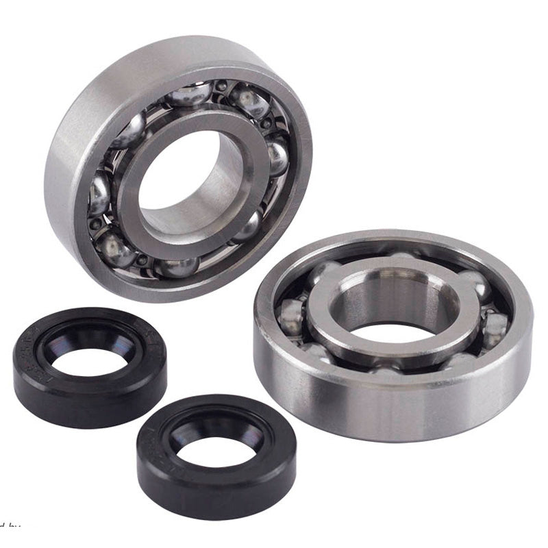 JASIL BEARING AND SEAL KIT MINARELLI (C3) 6111002