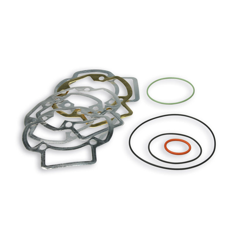 MALOSSI GASKETS KIT FOR 444-3113030/4443113042 1113045C