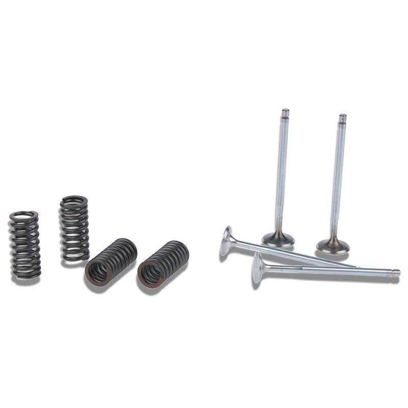 MALOSSI VALVES+SPRINGS BV250 07-08. 2712996