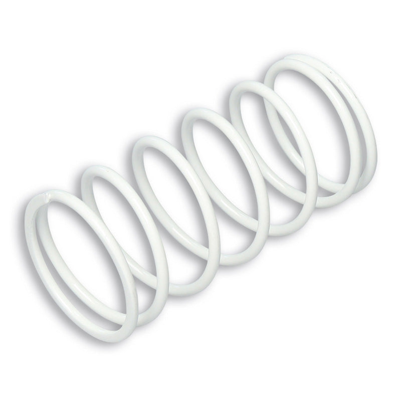 MALOSSI VARIATOR SPRING REINFORCED DERBI/PIAGGIO. 29 8360SW