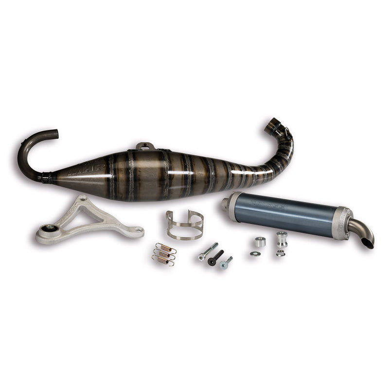 MALOSSI EXHAUST TR94 MINA RC-ONE 3217320