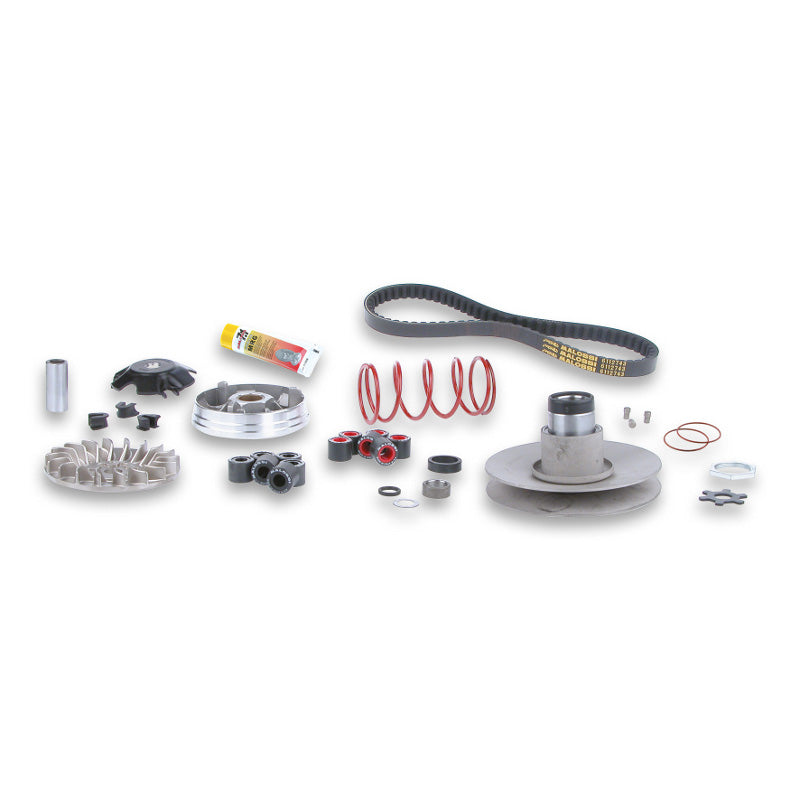 MALOSSI OVER RANGE CLUTCH SET MINARELLI ENGINE 6112811