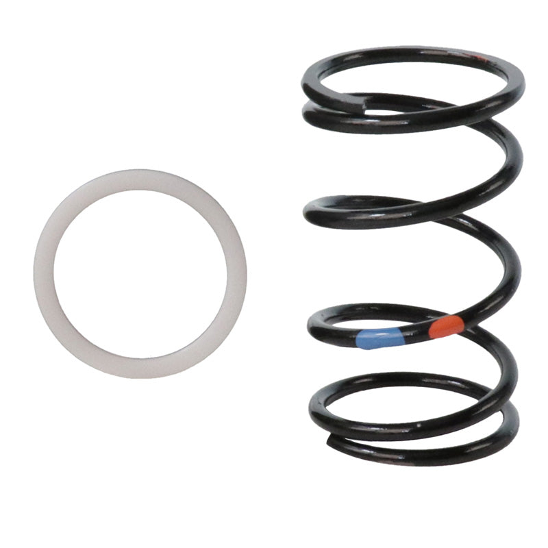 DALTON CLUTCH KIT RIDGE 24-25 DKRG-P1