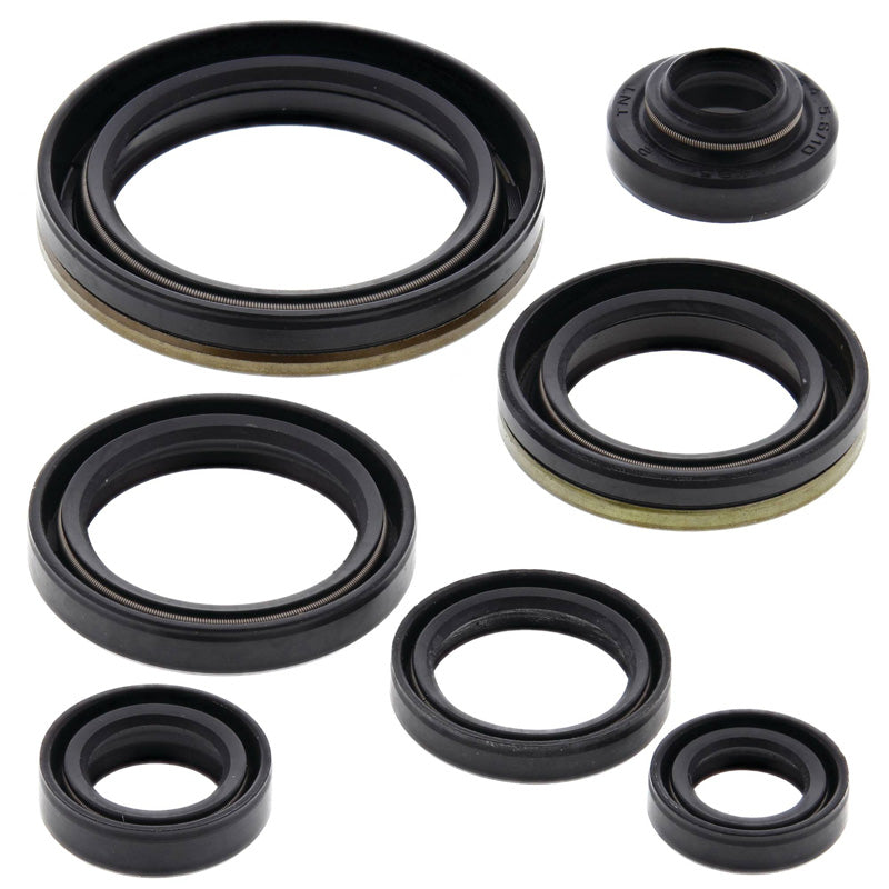 VERTEX OIL SEAL KIT RM250 96-02 822127