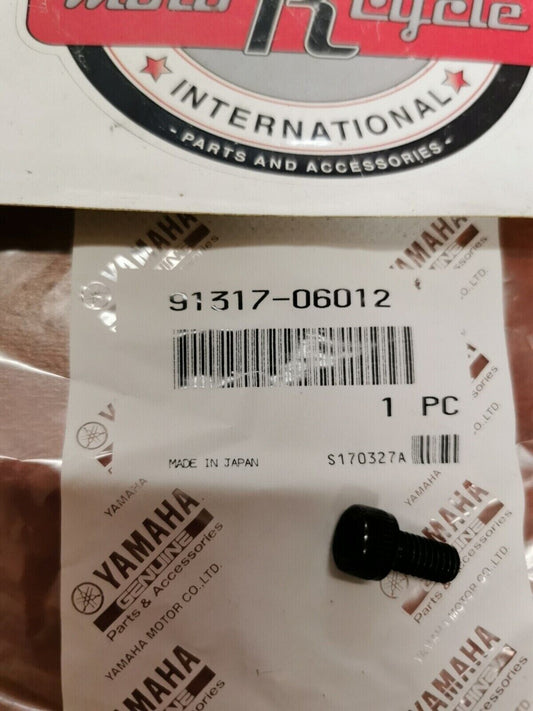 NOS Yamaha XS850 XS750 XV700 XV1000 XVZ13 BOLT 91317-06012-00 Y84