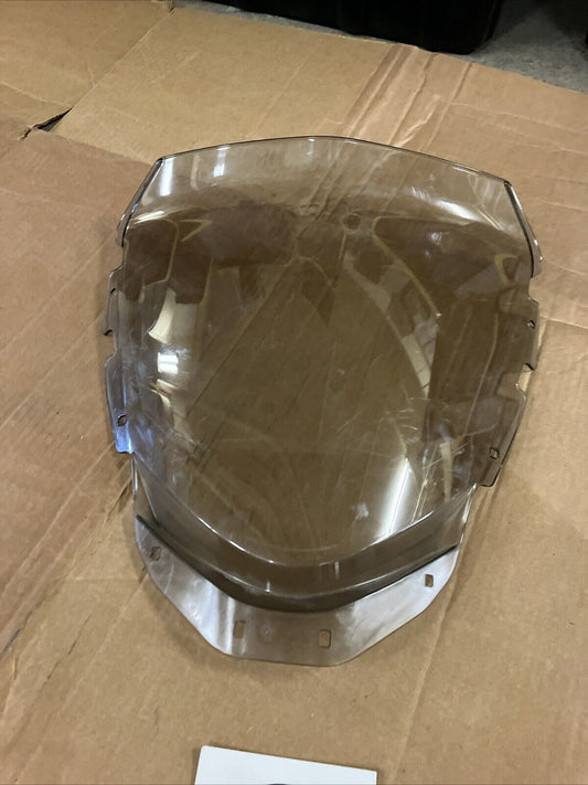 Ski-Doo Renegade Tundra Medium windshield 517306062