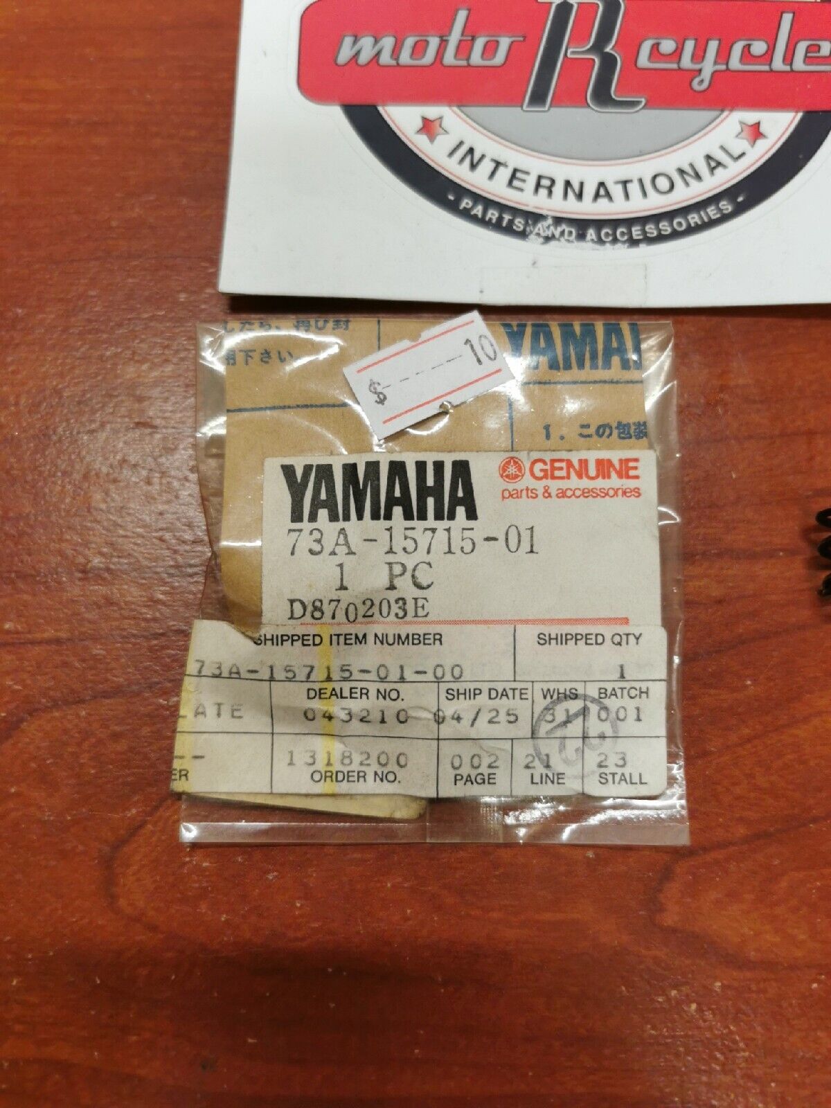 NOS Yamaha DRIVE PLATE SPRING 73A-15715-01-00 Y69