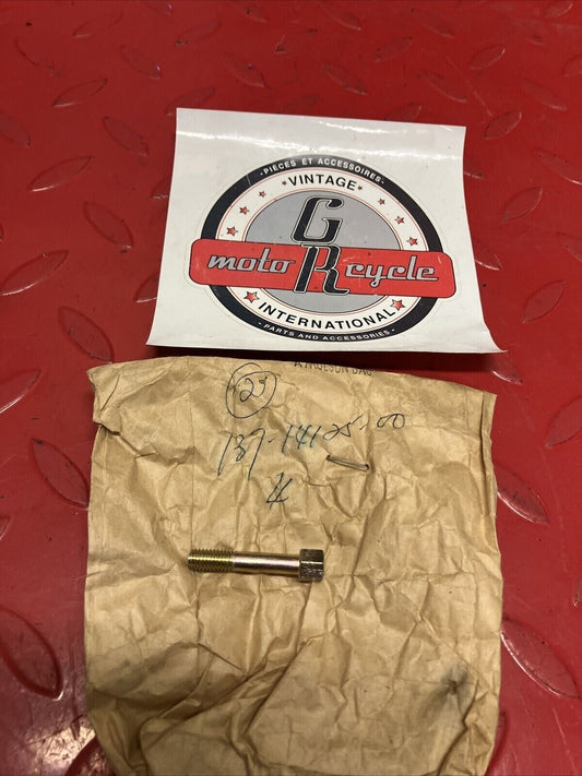 NOS YAMAHA CARBURETOR BODY FITTING SCREW 137-14125-00-00 Y61