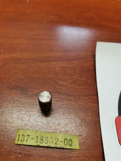 NOS Yamaha AT1 AT2 PIN 137-18552-00-00 SUB 137-18552-01-00 90249-05035-00 Y116