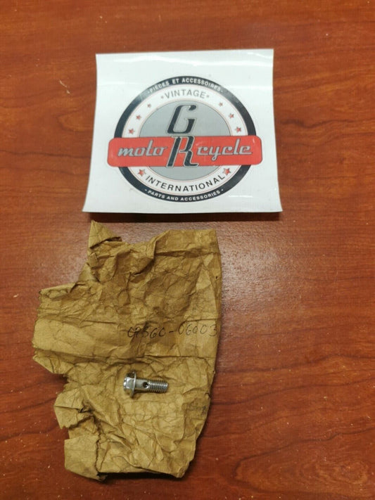 NOS Suzuki JR50 LT-A50 ALT50 LT50 T500 OIL PUMP UNION BOLT 09360-06003 S17