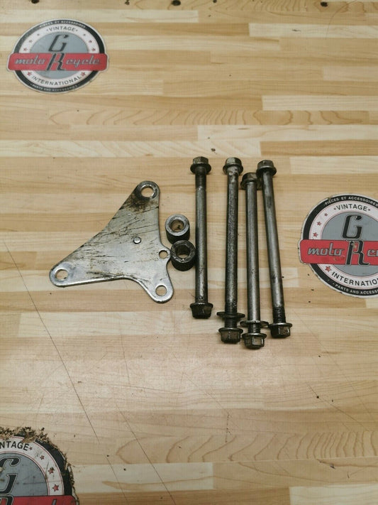 Honda CRF250L 2013 motor engine mount mounting bolt plate hanger 2013 - 2019