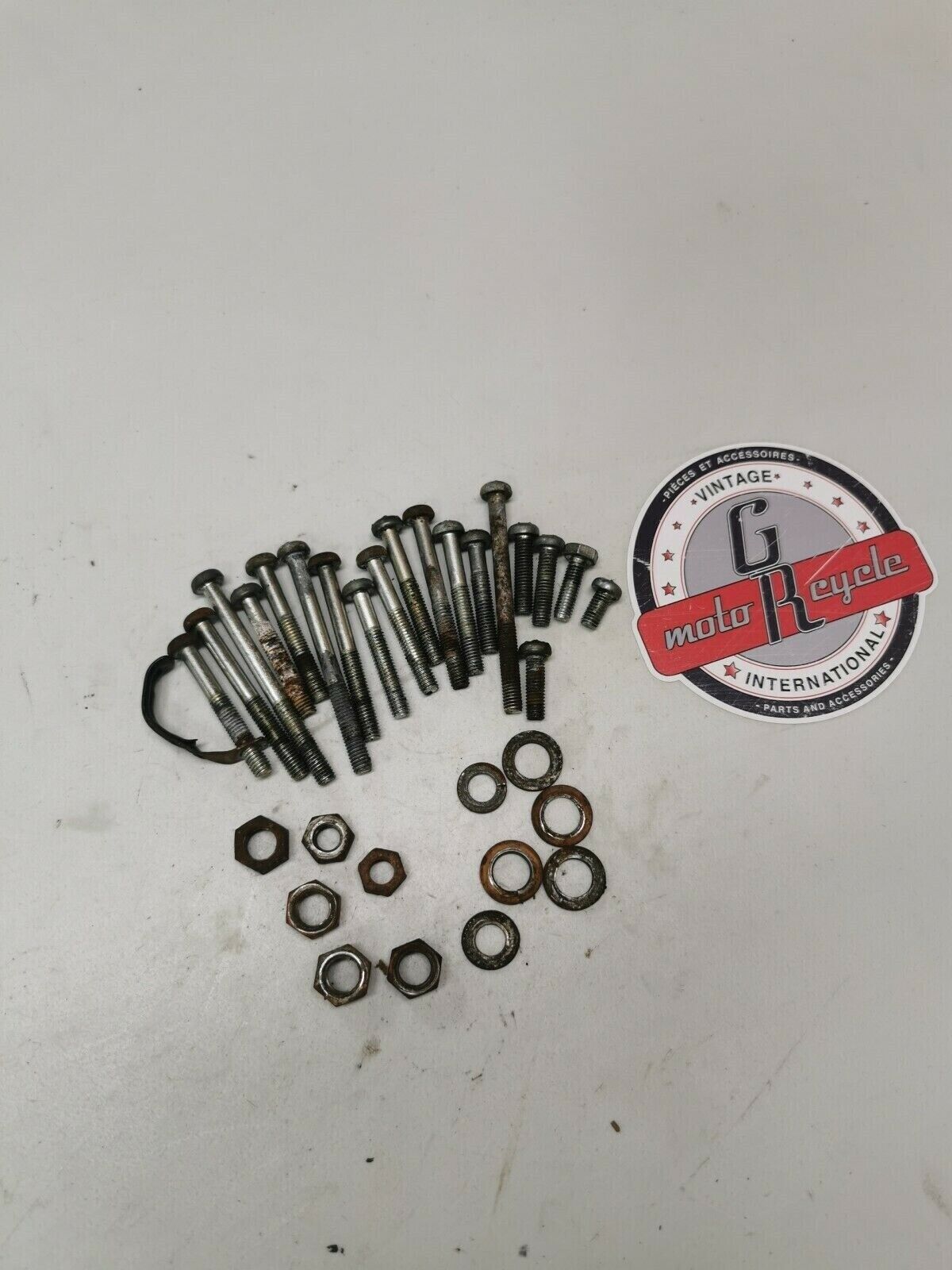 Suzuki RM250 1976 motor engine crankcase cover cylinder bolt nut hardware
