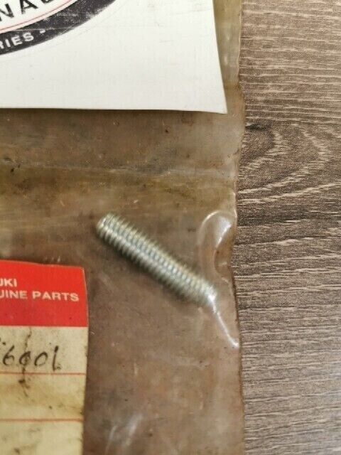 NOS SUZUKI A100 DR100 DR125 GN125 GN250 GP100 GR650 TS125 SCREW 09134-06001 S54