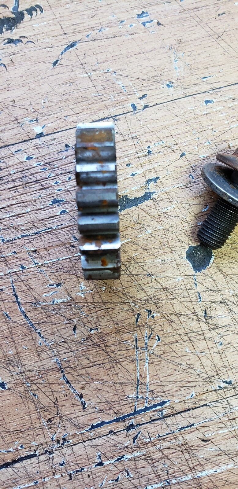 Honda CR125R 1985 primary drive gear bolt washer 1984 1985 1986 20T