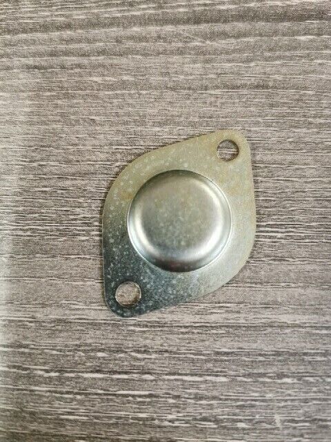 NOS SUZUKI TM75 1974 - 1976 CAP GEAR SHIFT CAM PIVOT 11451-26100 S54