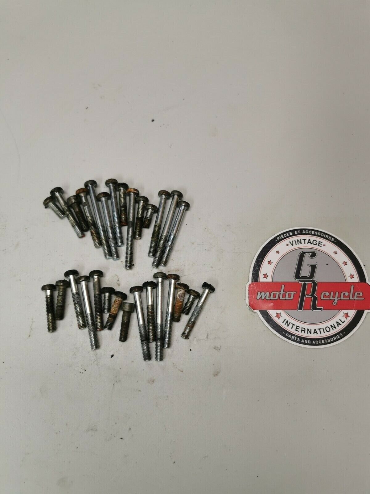 Yamaha DT100 1976 motor engine bottom end crankcase bolt hardware