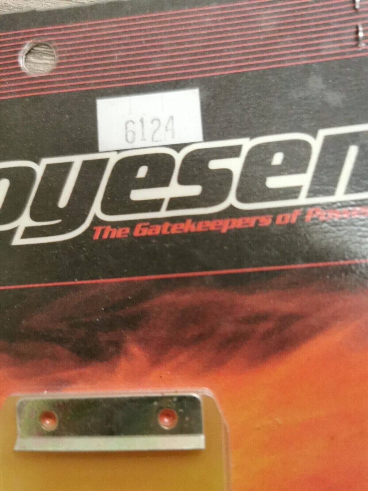 NOS Boyesen RM100 2003 - 2005 KX85 2001 - 2007  Power Reeds 6124 J20