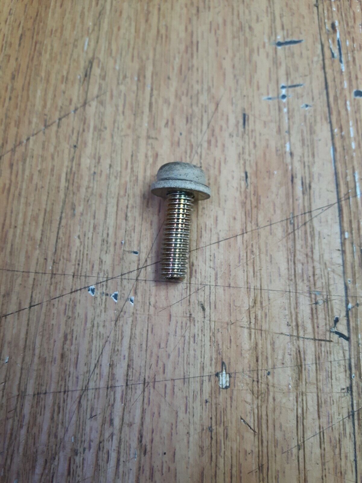 Honda XR250R 1984 Screw washer 6x20 6 x 20 bolt