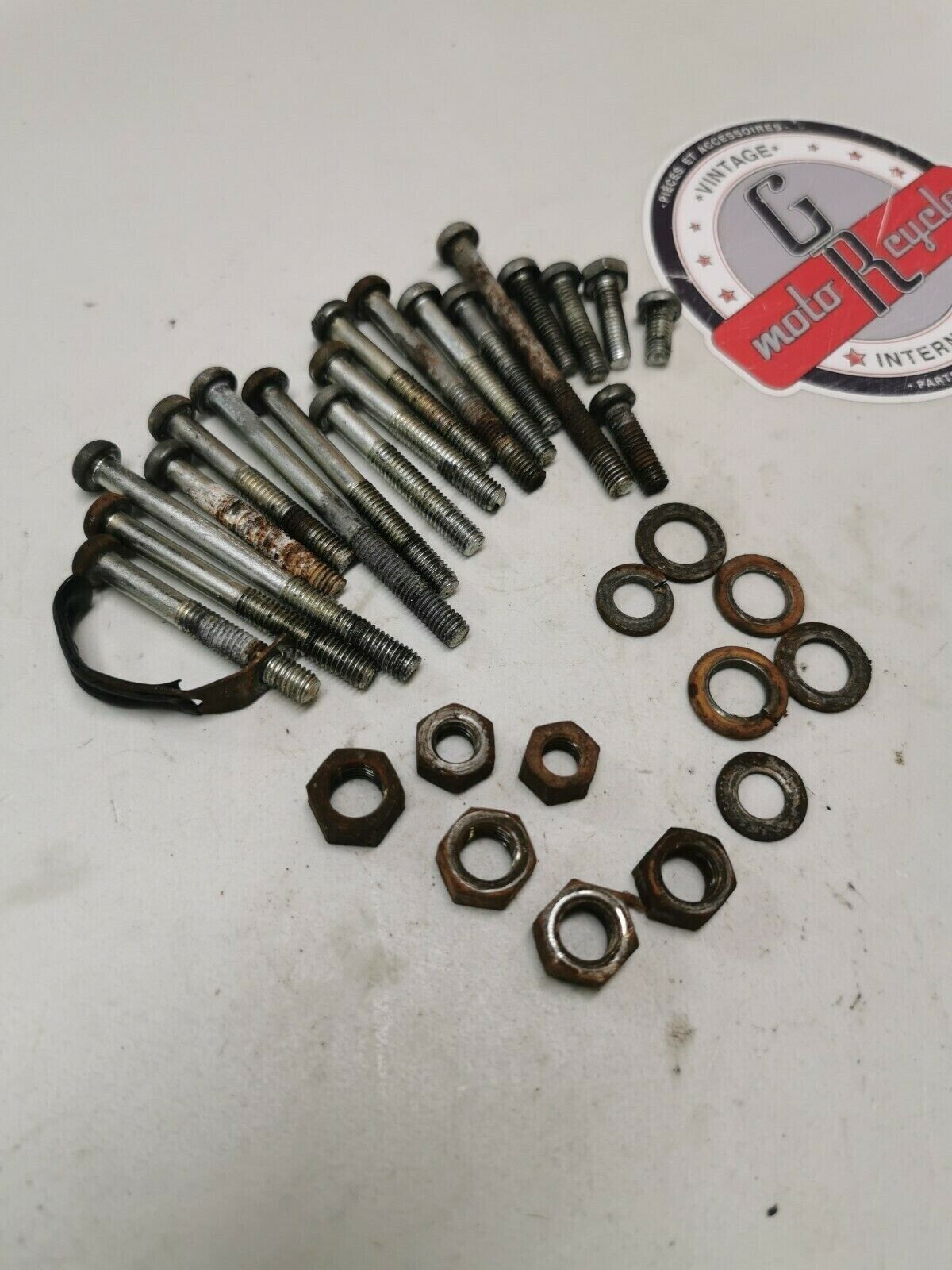 Suzuki RM250 1976 motor engine crankcase cover cylinder bolt nut hardware