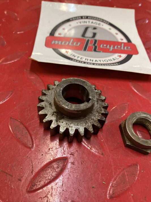Can-Am Qualifier 250 1977 primary drive gear