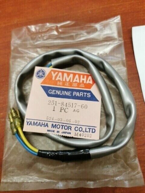 NOS Yamaha AT1 AT2 AT3 CT1 CT2 CT3 DS7 R5 TAIL LAMP CORD 251-84517-60-00 Y130